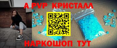 стаф Малгобек
