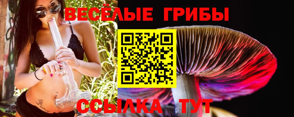 Псилоцибиновые грибы Magic Shrooms Тимашёвск