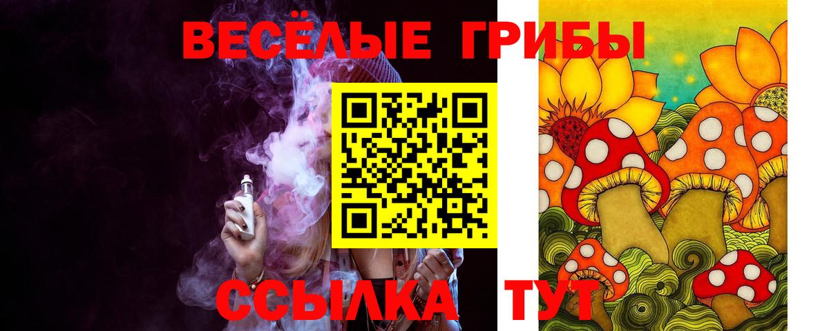 Галлюциногенные грибы прущие грибы  Вход с VPN  Тимашёвск 